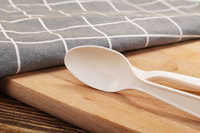 Vente en gros de cuillère à soupe biodégradable jetable de 7 pouces emballage de couverts sans fécule de maïs pour les fêtes