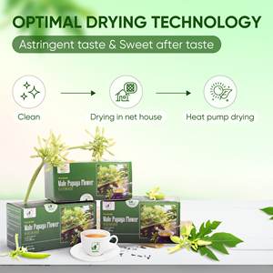 Sachets de thé de qualité supérieure en gros de la marque NMPT : Mélange de tisanes aux fleurs de papaye et au Celastrus Hindsii pour la santé masculine - Product Image 4