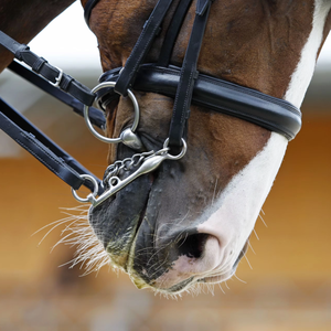 Mors articulé cheval à mâcher, rouleau de bouche, embouts de harnais en acier inoxydable Pelham - Product Image 5