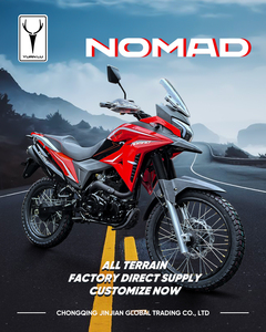 Xe mô tô địa hình đua Motocross 250 CC, tốc độ 110km/h, động cơ xăng, động cơ RE, xe mô tô mạo hiểm tốc độ cao - Product Image 6