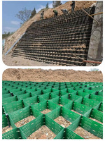 Stabilisateur de gravier en géocell HDPE, option robuste pour la stabilisation des routes industrielles