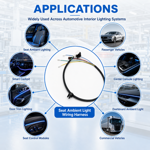 Faisceau de câblage personnalisé pour éclairage d'ambiance des sièges automobiles, assemblage de câbles d'éclairage intérieur de voiture OEM ODM - Product Image 2