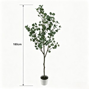 Eucalyptus, white basin magnesium oxide. Factory direct wholesale prices. Durable and evergreen. - Product Image 2