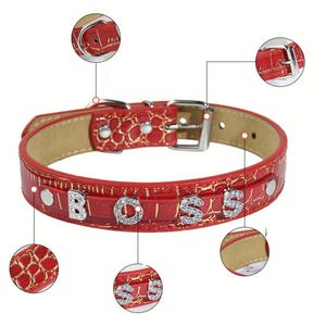 Collier personnalisé en cuir PU pour chien et chat avec étiquette d'identification – Idéal pour les promenades quotidiennes – Boutique en ligne pour animaux de compagnie (petits, moyens, grands) - Product Image 4