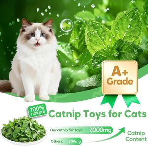 Juguete de Pescado con Catnip para Gatos con Sonajero Incorporado |   Juguete Interactivo de Peluche para Gatos de Interior |   Proveedor OEM de Juguetes para Mascotas - Product Image 6