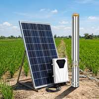 Pompe à eau solaire pour puits profond de 4 pouces, 1 CV, 750 W, à moteur CC sans balais permanent multi-étages, pour fontaine solaire