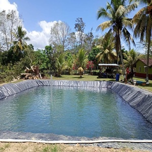 HDPE土工膜池塘衬里1毫米防紫外线防水衬里，用于养鱼和虾塘大坝 - Product Image 6