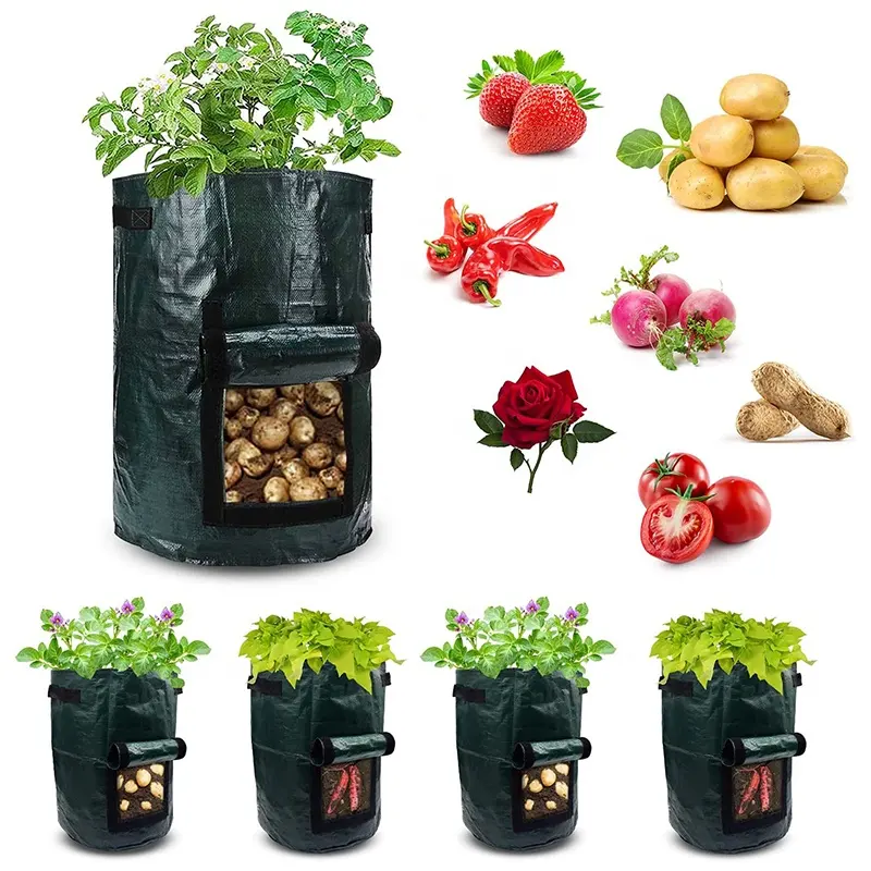 Macetas impermeables para cultivo de plantas, bolsas de plástico para jardín, verduras, tomate, PE, venta al por mayor