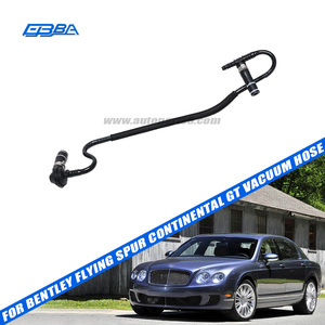 Manguera de vacío para coche, piezas originales nuevas de alta calidad para Bentley Flying Spur 2009 Continental GT OE 3W1612041BT - Product Image 2