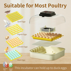 Trang Trại 30 Trứng Kích Thước Nhỏ Lồng Ấp Thiết Bị Với Nước Và Trứng Quay Điều Chỉnh Nhiệt Độ Thích Hợp Cho Vịt Ngỗng - Product Image 5