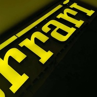 Publicité personnaliser métal ferrar lumière signe led éclairage nom commercial signes avec lumière led