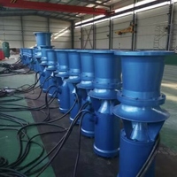 Pompe à flux mixte à hélice axiale submersible en acier inoxydable QSZ(H) Machine 25HP 380V 4200m³/h 10m de hauteur de refoulement Garantie 1 an