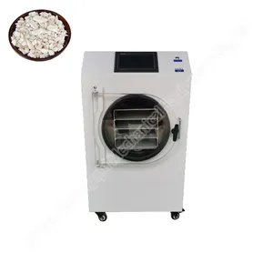 Freeze Drying Machine For Sale Vacuum Freeze Drying Machine Mini Air Food Chemical Machinery Freeze Dryer