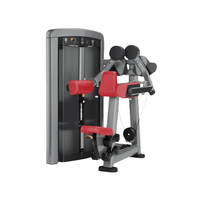 Máquina Comercial de Elevación Lateral con Pesas para Gimnasio, Equipo de Entrenamiento de Hombros y Deltoides
