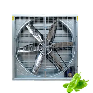 220/380 Volt Warehouse Factory Wall Mounted Ventilation Industrial Exhaust Fan