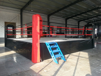 Formation professionnelle anneaux de lutte compétition taille personnalisée anneau de boxe à vendre en gros