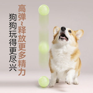 EETOYS Pet <b>Dog</b> Toy <b>Light</b> Up Bouncy Ball Chewable Teeth Cleansing Interactive Training Ball For <b>Dogs</b> - Product Image 1