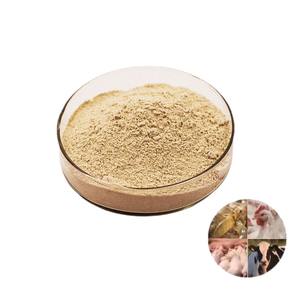 Biofertilizante de alta calidad, aditivo para piensos, probióticos, Bacillus Laterosporus - Product Image 4