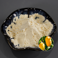 Mango Poeder Zuivere Fruitpoeder voor Dranken Smoothies Bakken Natuurlijke Mango Smaak Voedingsmiddelenkwaliteit Groothandel Leverancier