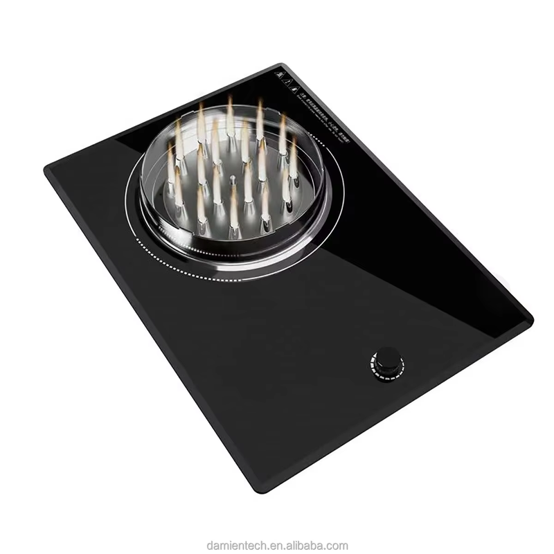 2026 New Technology 1 Burner Electric