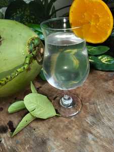 Agua de Coco Fresca de Primera Calidad al Mejor Precio, Pulpa Dulce Natural Pura, para Té de Burbujas y Postres, Grado Sulawesi, 0.2kg - Product Image 3