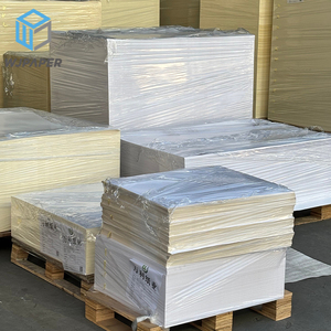 Papel <span class=keywords><strong>de</strong></span> Cartón Blanco en Rollo, Recubierto <span class=keywords><strong>de</strong></span> PE Simple o Doble, Material en Bruto para Fabricación <span class=keywords><strong>de</strong></span> Vasos, <span class=keywords><strong>Venta</strong></span> Directa <span class=keywords><strong>de</strong></span> Fábrica China - Product Image 1