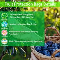 Organza Groen Fruit Bescherming Anti Insectennet Zak Fruitbomen Fruit Cover Netzak Met Trekkoord