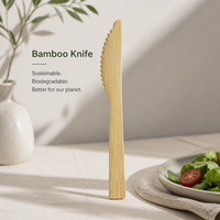 Couteau de table en bambou jetable, biodégradable, compostable, respectueux de l'environnement, vente en gros, logo personnalisé