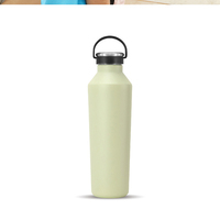 Bouteille d'eau sport isolée à double paroi en acier inoxydable de 500 ml pour la randonnée et les activités de plein air