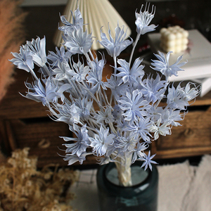 Bảo Quản Hoa Bát Giác Tùy Chỉnh Khô Hoa Bó Hoa Lâu Dài Tự Làm Hoa Vật Liệu Cho Phòng Khách Đám Cưới Mềm Mại - Product Image 5