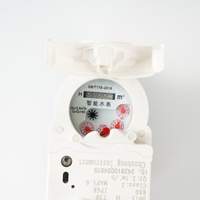 Venta al por mayor Lora Lorawan NB-iot Wifi Gprs inalámbrico remoto inteligente medidor de agua prepago pago remoto control operación medidor de agua