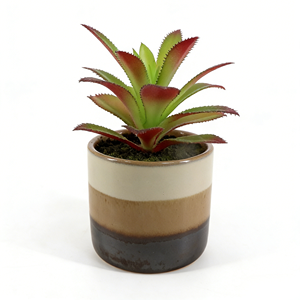 Suculenta Artificial Realista con Hojas Puntiagudas <span class=keywords><strong>en</strong></span> <span class=keywords><strong>Maceta</strong></span> de Cerámica Degradada con Tierra Artificial de 13 cm, <span class=keywords><strong>Agave</strong></span> Artificial para Decoración de Sala de Estar o Dormitorio - Product Image 2