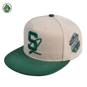 Gorra Estructurada Verde con Logotipo Bordado en 3D Personalizado, Venta al Por Mayor, OEM, ODM, Alta Calidad, Estilo Hip Hop, Deportivo, Urbano, Unisex, Cierre a Presión - Product Image 1