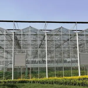 Serre en verre commerciale entièrement automatisée utilisée agriculture avec système de panne d'électricité
