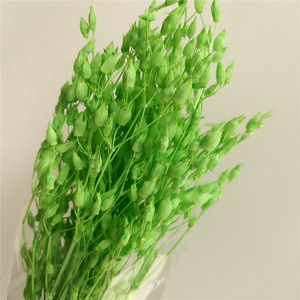 All'ingrosso fiorentiner fiori artificiali secchi per matrimoni e decorazioni per la casa fai da te per la festa della mamma - Product Image 5