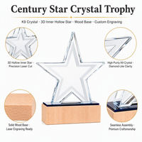 Trophée étoile en cristal K9 personnalisé avec étoile intérieure givrée, base en bois massif, certificat de formation gravé, cadeau de récompense, vente en gros