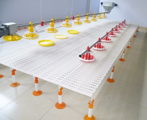 Wqxm Suelo <span class=keywords><strong>de</strong></span> Plástico Blanco para Gallineros <span class=keywords><strong>de</strong></span> Engorde o Jaulas <span class=keywords><strong>de</strong></span> Pollo - Product Image 6