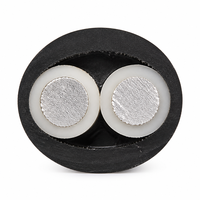 AL/XLPE/PVC 2-adriges Aluminium-Leistungskabel mit XLPE-Isolierung und PVC-Mantel 4x50mm² 0,6 1kV Stromübertragung
