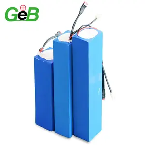 GEB热卖锂聚合物电池12V 36V 48V 8ah 10ah 12ah锂离子电池用于电动自行车充电电池