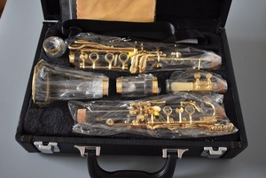 Clarinetto in Si Bemolle di Alta Qualità con Corpo Tubolare Trasparente e Chiavi Placcate in Oro, Clarinetto in Acrilico per Musicisti - Product Image 3