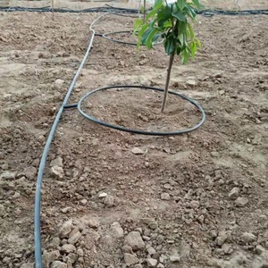 เทปน้ำหยดสำหรับต้นไม้ ระบบน้ำดี ป้องกันการอุดตัน <span class=keywords><strong>ราคา</strong></span>ถูกที่สุด - Product Image 5