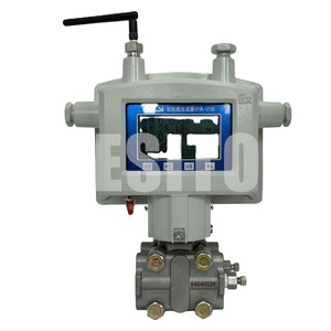 Nuevo Medidor de Flujo Diferencial Inteligente DL-210 Original a Bajo Precio - Product Image 5