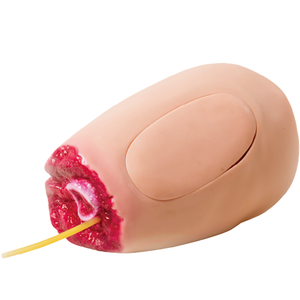 Módulo de Amputación por Hemorragia en el Muslo - Product Image 1