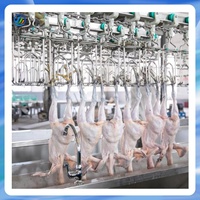 Ligne d'abattage de volailles conteneurisée 300-500 BPH, équipement d'abattoir mobile pour petit abattoir