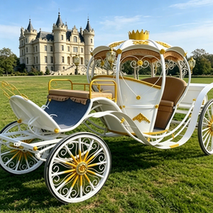 Chariot de luxe en forme de citrouille pour mariage, style personnalisé, <span class=keywords><strong>prix</strong></span> d'usine abordable pour le tourisme en zone touristique et l'activité commerciale - Product Image 2