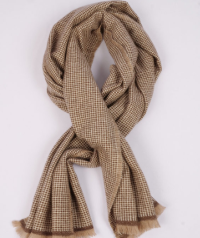 ตามที่แสดง