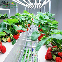 Système hydroponique portable, grand, à économie d'énergie, respectueux de l'environnement, en acier, super résistant, pour la culture de légumes-feuilles, usine de plantes