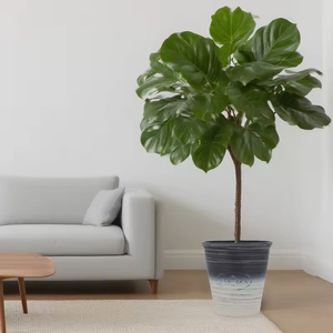 Maceta de Plástico Ecológica de Estilo Chino 2026 para Plantas de Interior/Exterior, Circular Cilíndrica de Gran Tamaño - Product Image 5