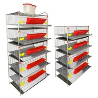 Nouvelle cage à cailles commerciale durable avec système d'évacuation automatique du fumier, construction métallique pour la gestion moderne de la volaille en ferme intérieure
