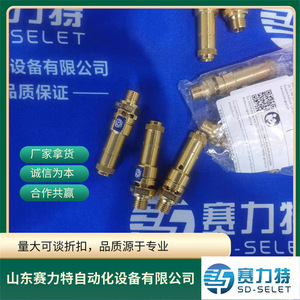 Soupape de sécurité Rieglers 226.01-1,8 103950, pièce de rechange industrielle, Allemagne - Product Image 2